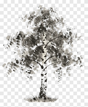 Watercolor Birch Tree PNG