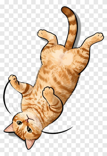 Cartoon Cat Lying On Its Back PNG
