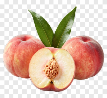 Fresh Peach With Green Leaves PNG