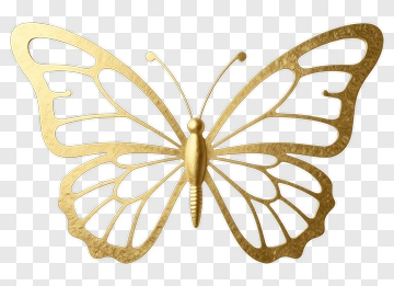 Golden Butterfly PNG