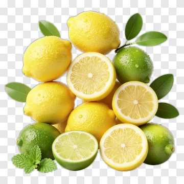 Fresh Lemons And Limes With Mint Leaves PNG