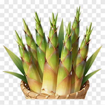 Bamboo Shoots In A Basket PNG