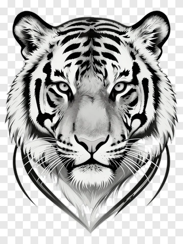 Black And White Tiger Head Illustration PNG