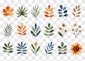 Colorful Collection Of Various Leaves And Flowers PNG