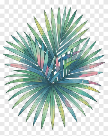 Colorful Palm Leaves PNG