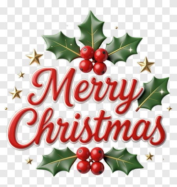 Merry Christmas Decoration With Holly And Berries PNG