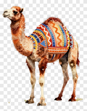 Colorful Camel With Decorative Patterns PNG