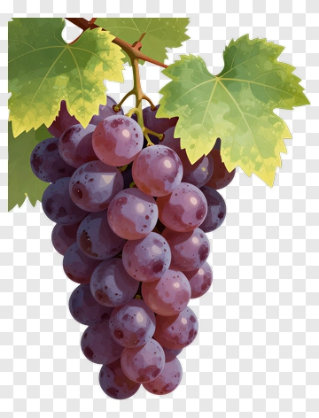 Bunch Of Grapes With Green Leaves PNG
