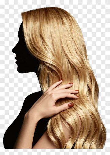 Silhouette Of A Woman With Long Blonde Hair PNG