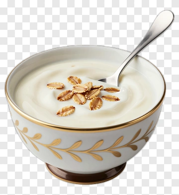 Bowl Of Yogurt With Oats PNG