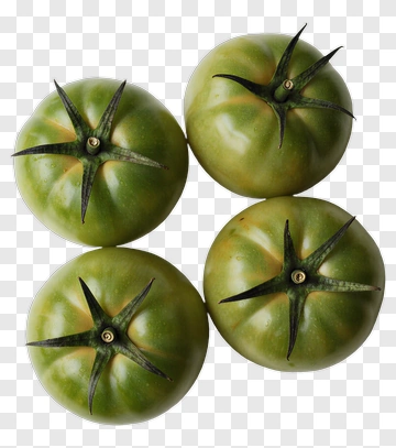 Green Tomatoes PNG