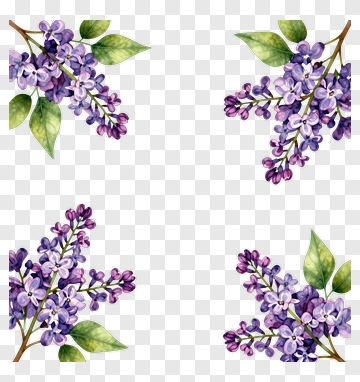 Lilac Flower Arrangement PNG