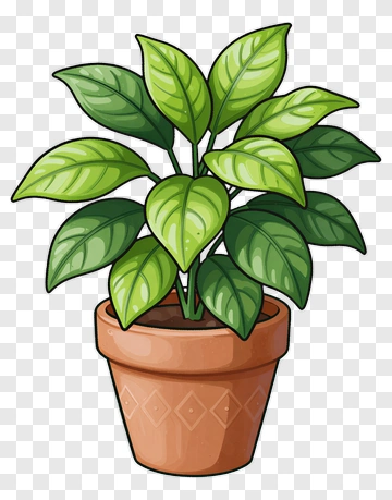 Colorful Potted Plant PNG
