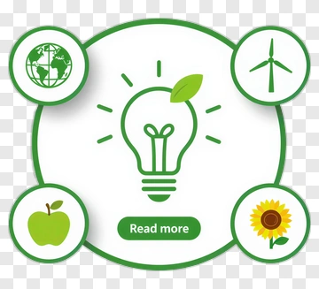 Eco Concept With Light Bulb And Green Elements PNG