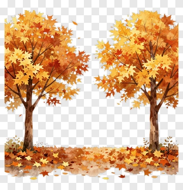 Autumn Trees With Colorful Leaves PNG