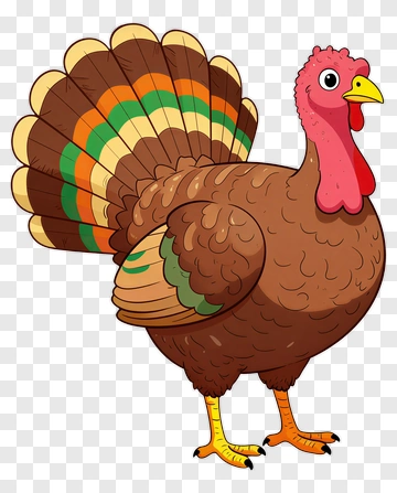 Cartoon Turkey With Colorful Feathers PNG