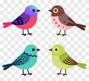 Colorful Cartoon Birds PNG