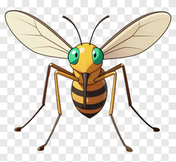 Cartoon Bee With Big Eyes PNG