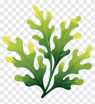 Green Leafy Plant PNG