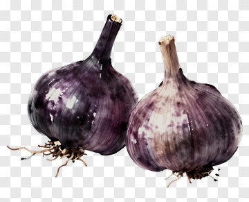 Purple Garlic Bulbs PNG