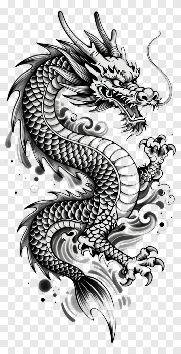 Black And White Dragon Illustration PNG