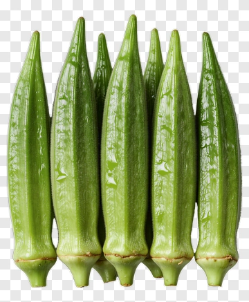 Fresh Okra Pods PNG