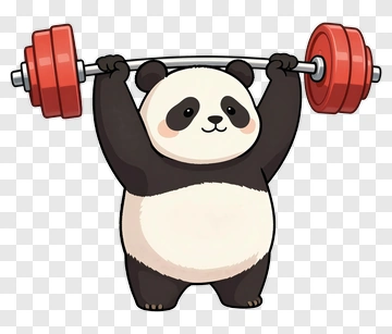Cartoon Panda Lifting Weights PNG