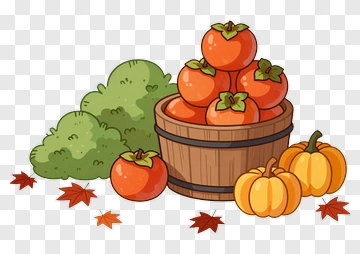 Colorful Candy Bucket With Pumpkins And Persimmons PNG