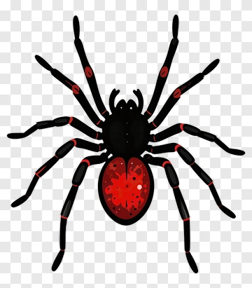 Cartoon Spider With Red Markings PNG