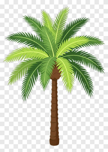 Vector Palm Tree PNG