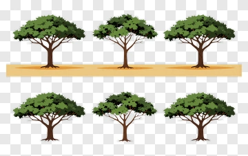 Colorful Tree Collection PNG