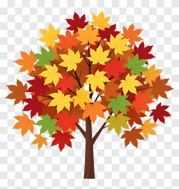 Colorful Tree With Autumn Leaves PNG