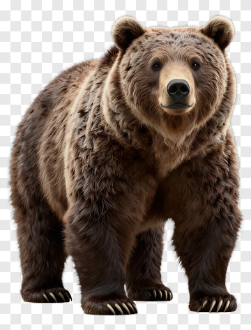 Realistic Brown Bear Standing PNG