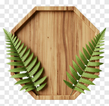 Wooden Tray With Fern Leaves PNG