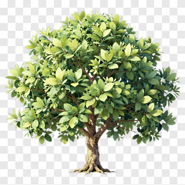 Realistic Green Tree PNG