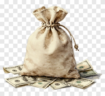 Money Bag Surrounded By Dollar Bills PNG