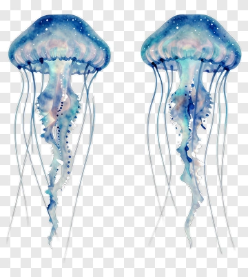 Watercolor Jellyfish Illustration PNG