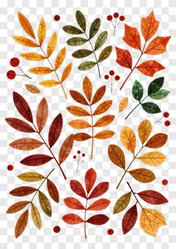 Colorful Autumn Leaves And Berries PNG