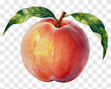 Peach With Leaves PNG