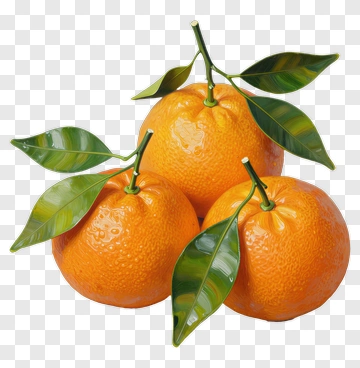 Three Oranges With Green Leaves PNG
