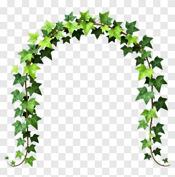 Ivy Leaf Arch PNG