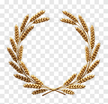Golden Wheat Wreath PNG