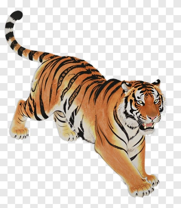 Tiger In Motion PNG