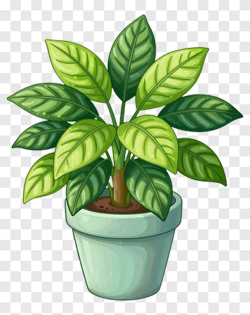Green Potted Plant PNG