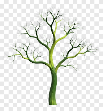 Green Tree With Bare Branches PNG