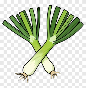 Crossed Green Onions PNG