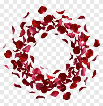 Red Rose Petals In A Circular Arrangement PNG