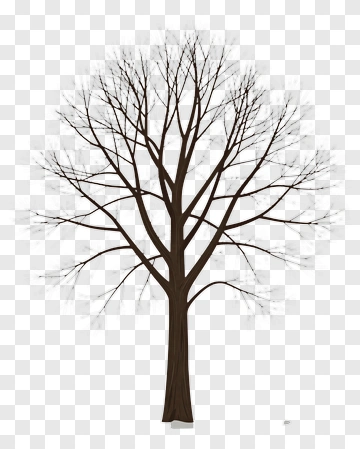 Bare Tree PNG