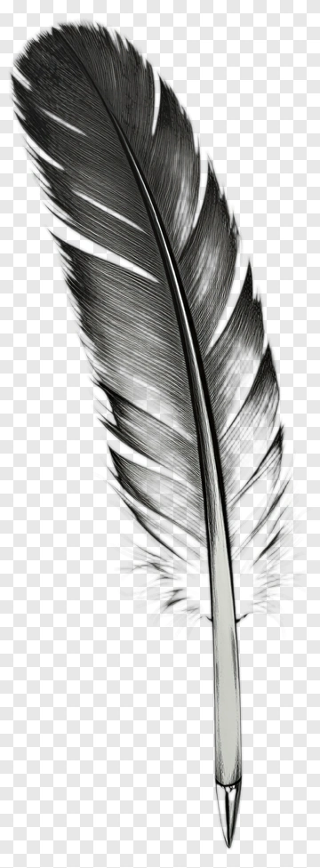 Black Feather Quill Pen PNG