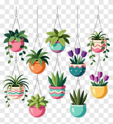 Colorful Hanging Plant Pots PNG